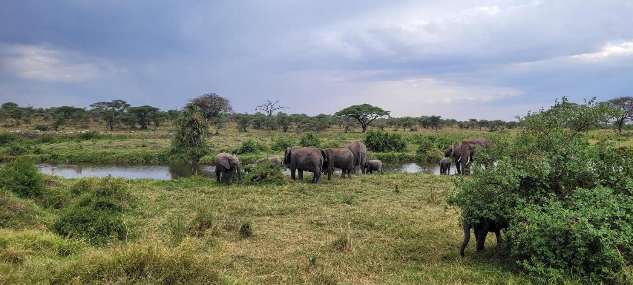 Hotel Zawadi Camp Serengeti Esterno foto