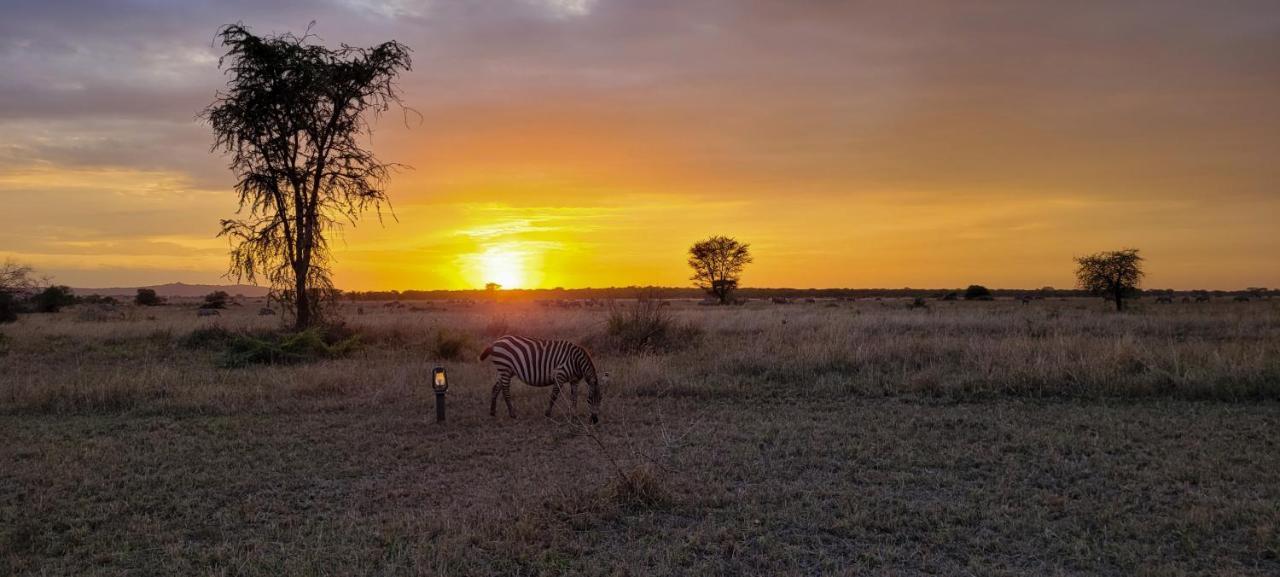 Hotel Zawadi Camp Serengeti Esterno foto