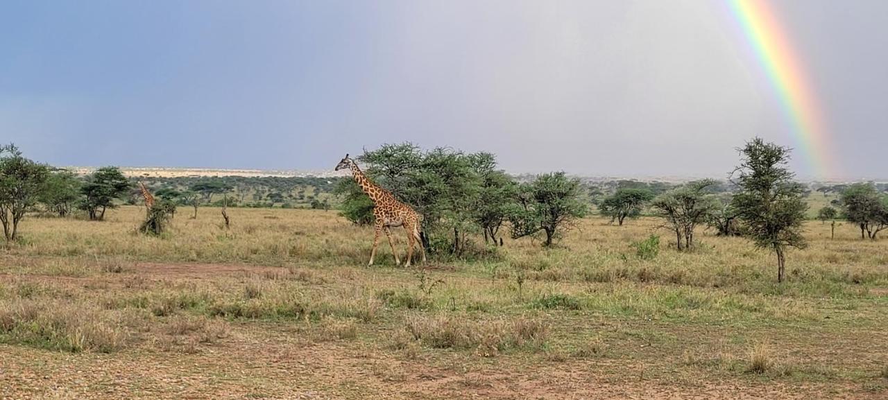Hotel Zawadi Camp Serengeti Esterno foto