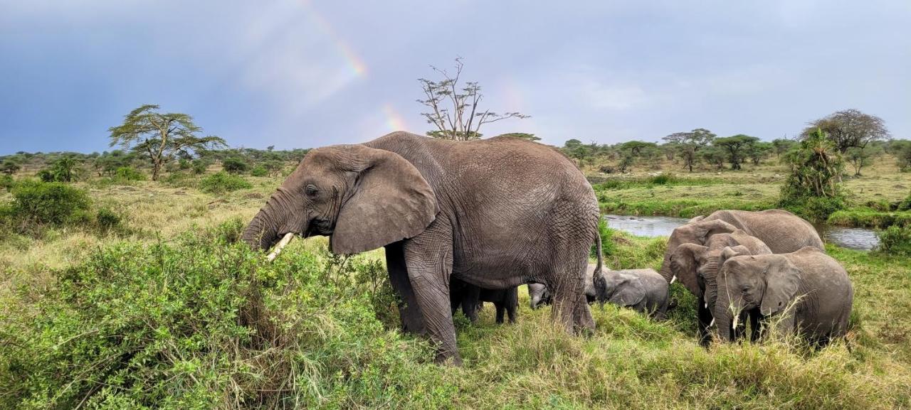 Hotel Zawadi Camp Serengeti Esterno foto