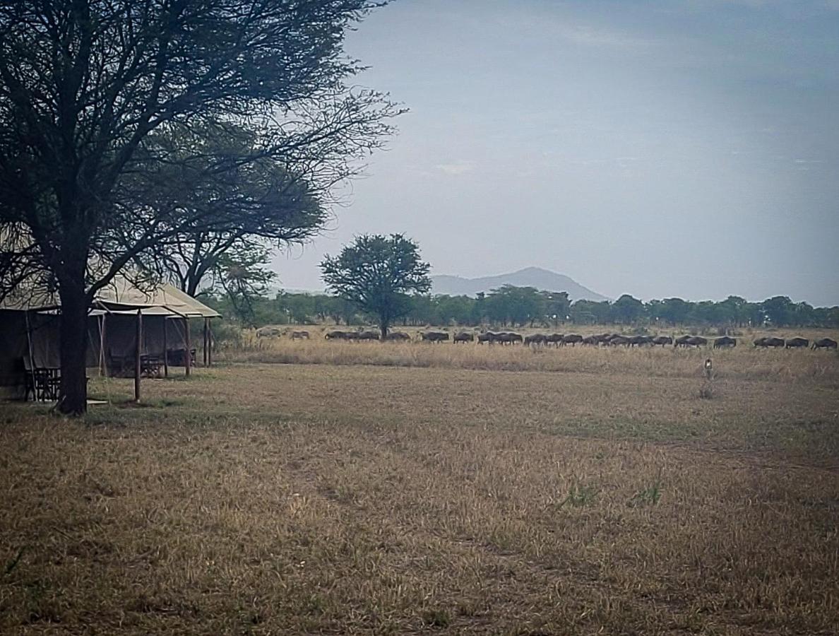 Hotel Zawadi Camp Serengeti Esterno foto