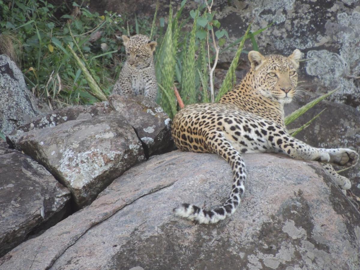 Hotel Zawadi Camp Serengeti Esterno foto