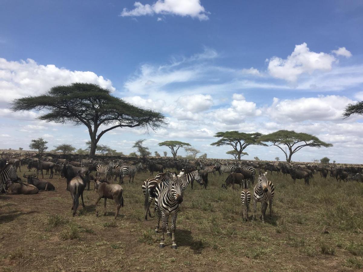 Hotel Zawadi Camp Serengeti Esterno foto