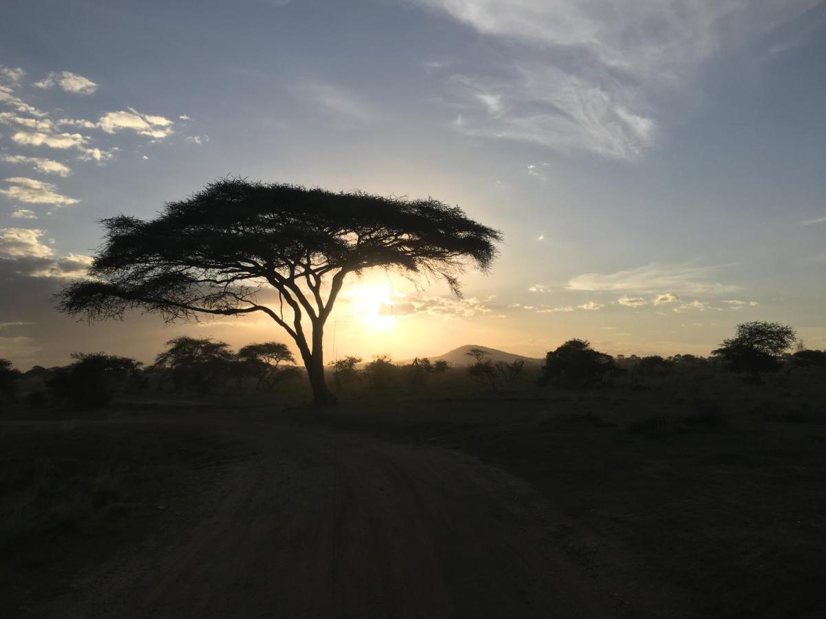 Hotel Zawadi Camp Serengeti Esterno foto