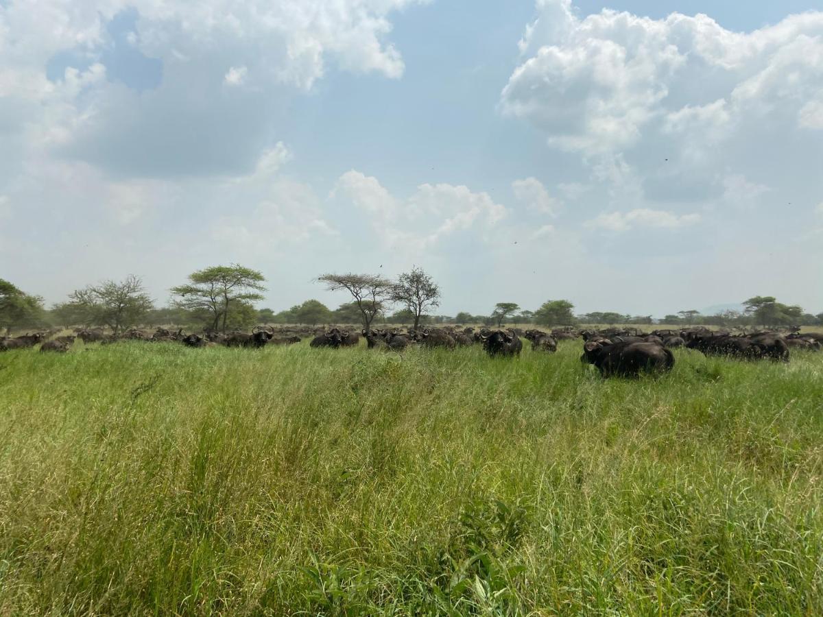 Hotel Zawadi Camp Serengeti Esterno foto
